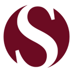 S Logo Icon
